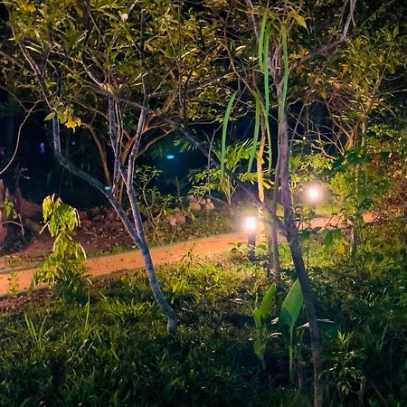 Sigiri Starwing Villa Sigiriya Dış mekan fotoğraf