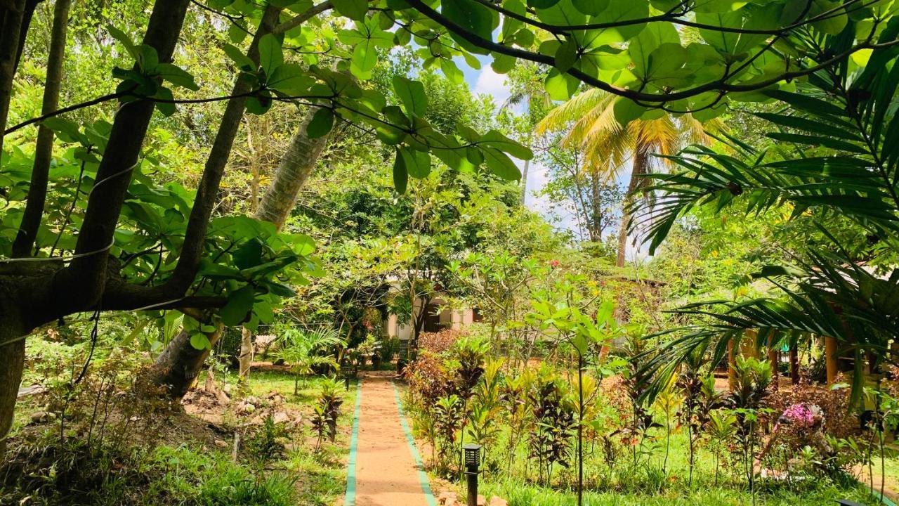 Sigiri Starwing Villa Sigiriya Dış mekan fotoğraf