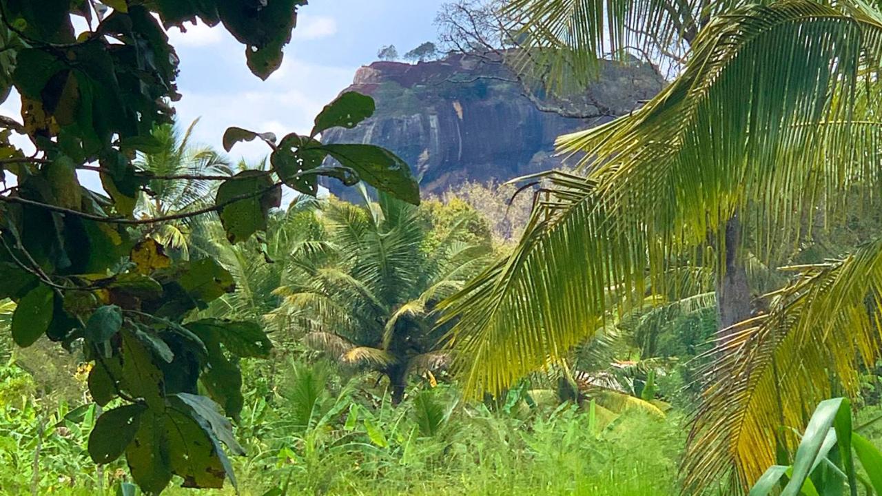 Sigiri Starwing Villa Sigiriya Dış mekan fotoğraf