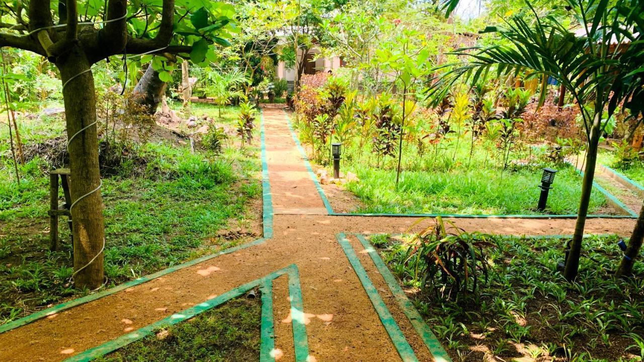 Sigiri Starwing Villa Sigiriya Dış mekan fotoğraf